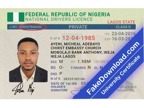 Niger Driver License (psd)