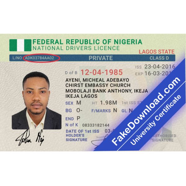 Niger Driver License (psd)