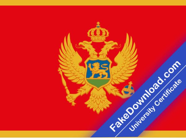 Montenegro Driver License (psd)