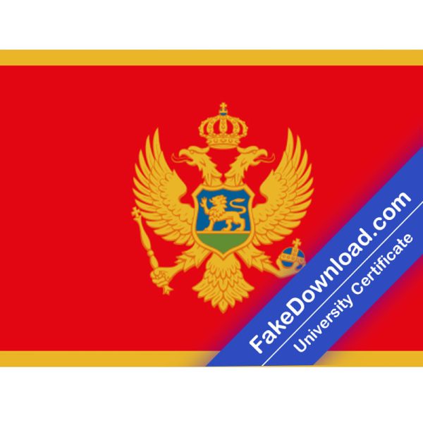Montenegro Driver License (psd)