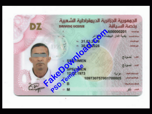 Algeria Driver License (psd)