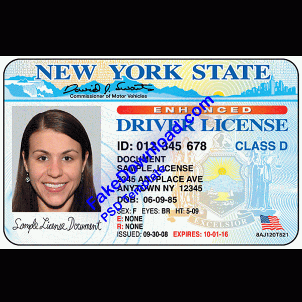 America Driver License (psd)