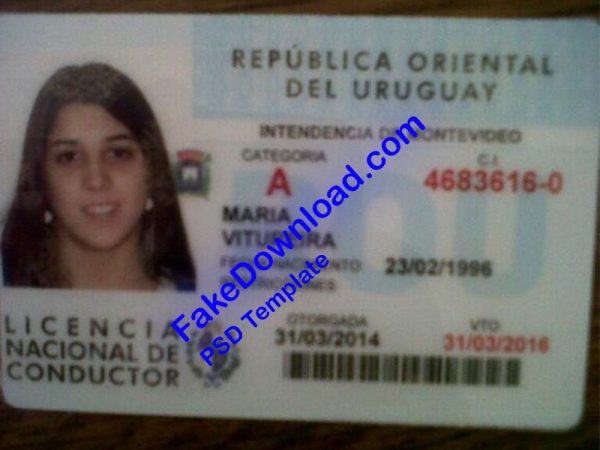 Uruguay Driver License (psd)