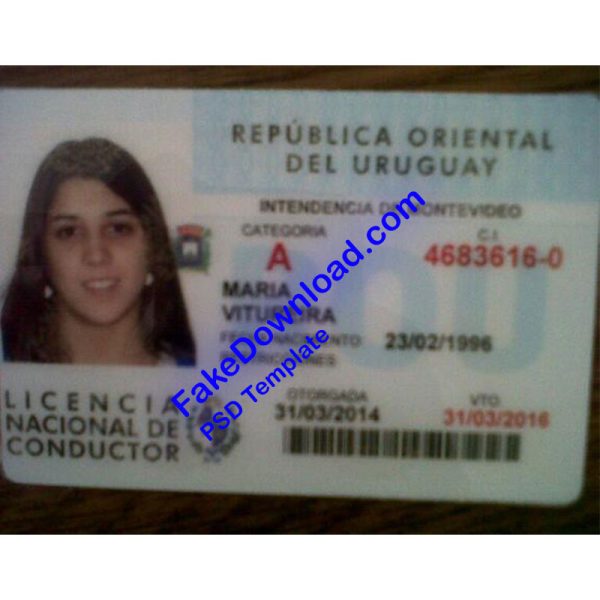 Uruguay Driver License (psd)