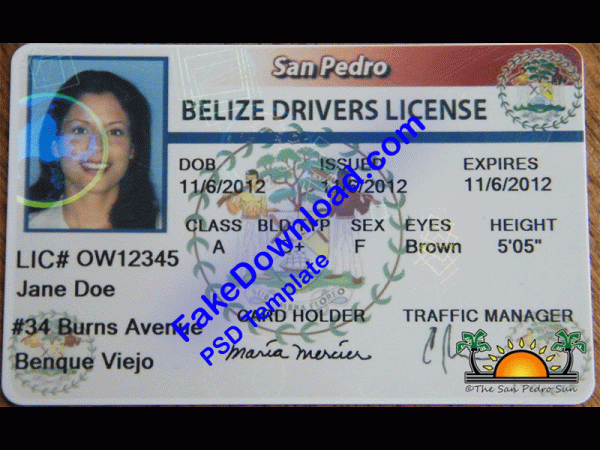 Belize Driver License (psd)