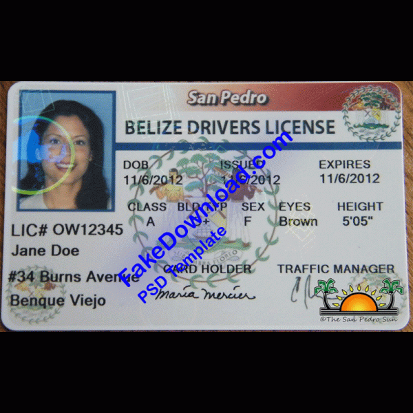 Belize Driver License (psd)