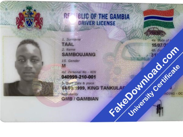 Gambia Driver License (psd)