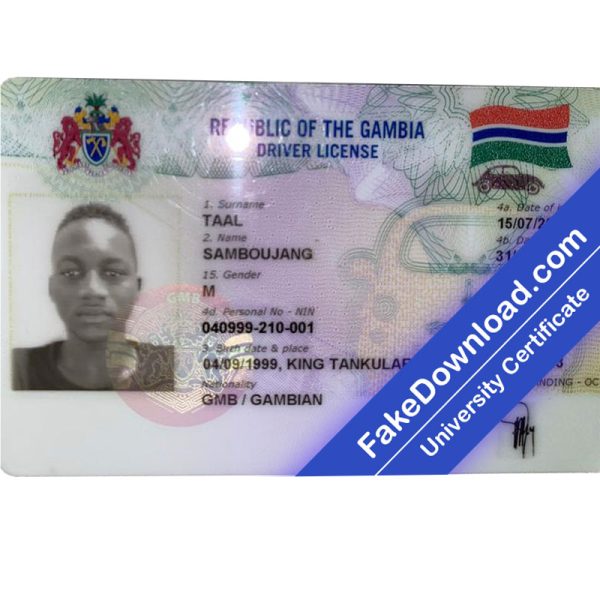 Gambia Driver License (psd)