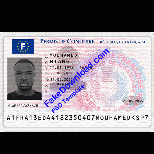 France Driver License (psd)