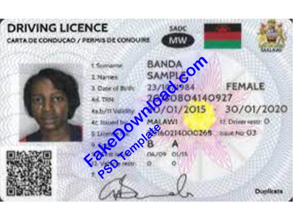 Mozambique Driver License (psd)