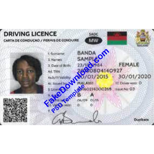 Mozambique Driver License (psd)