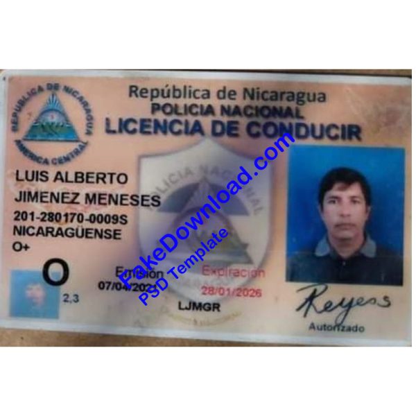 Nicaragua Driver License (psd)