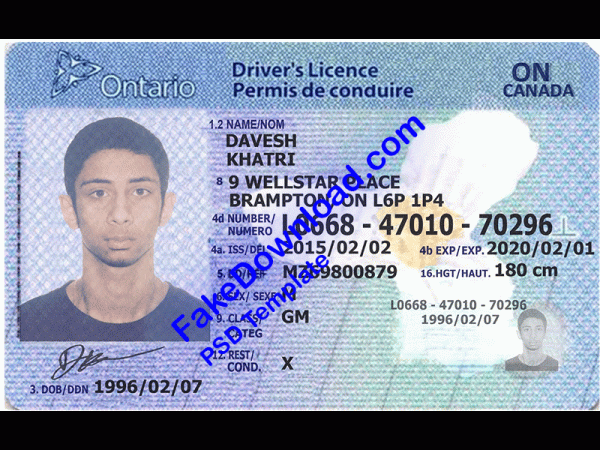 Canada Driver License (psd)