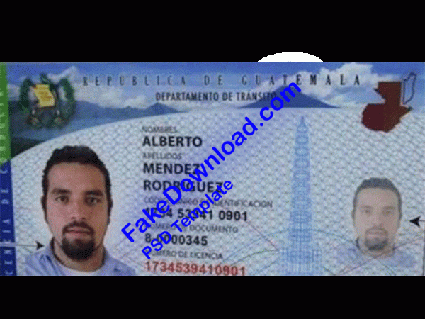 Guatemala Driver License (psd)