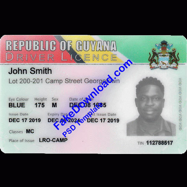 Guyana Driver License (psd)