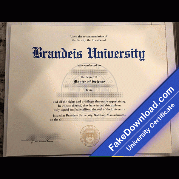 Brandeis University Template (psd)