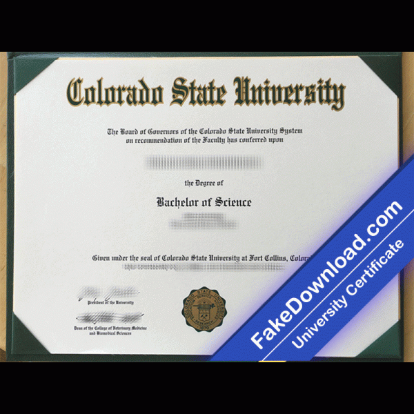 Colorado School of Mines Template (psd)