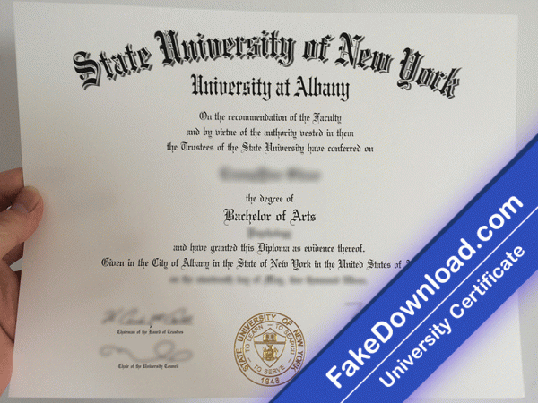 University of New York at Albany Template (psd)