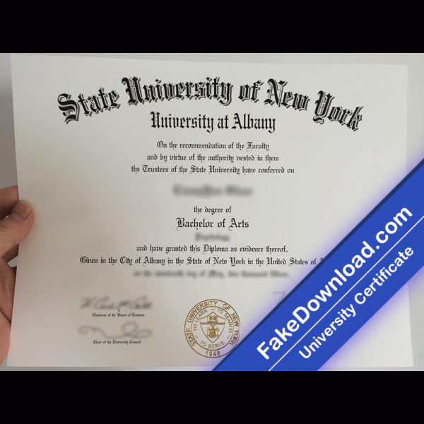 University of New York at Albany Template (psd)