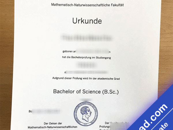 henish Friedrich Wilhelm University of Bonn Template (psd)