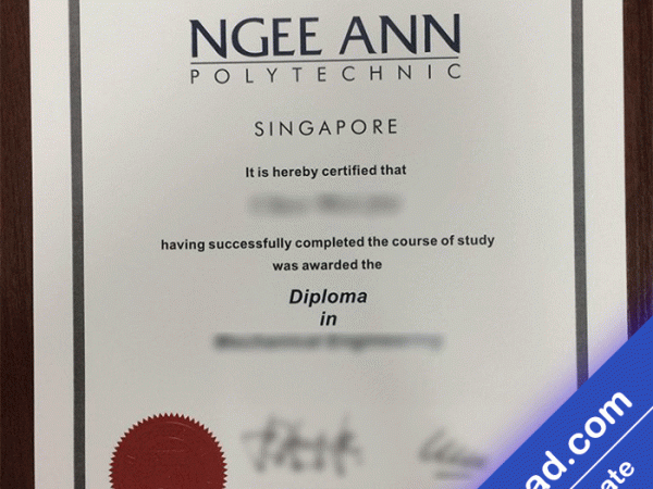 Ngee Ann Polytechnic University Template (psd)