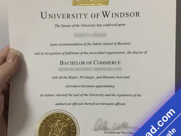 Windsor University Template (psd)