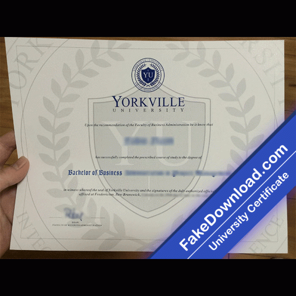 Yorkville University Template (psd)